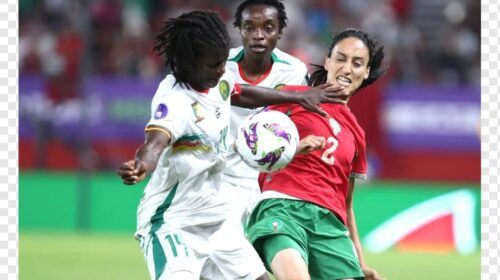 Las Leonas Indomables