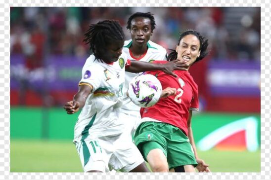 Las Leonas Indomables