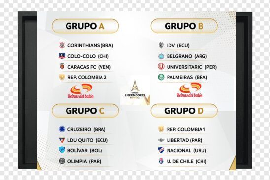 Libertadores Femenina