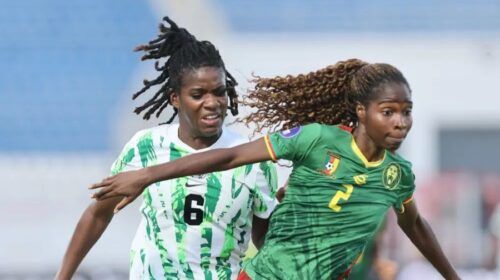 Leonas Indomables