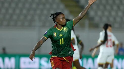 Las Leonas Indomables